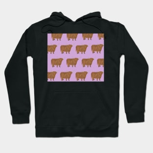 Amazing Highland Cow Hoodie